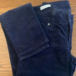 Gap dark purple velveteen pants